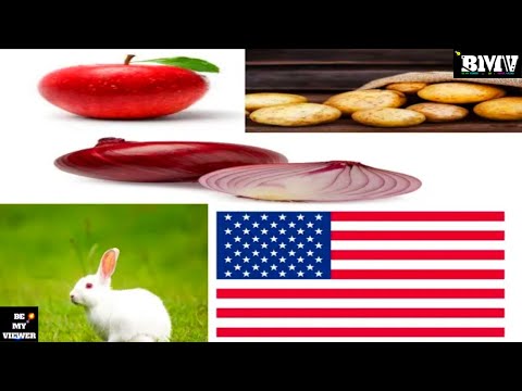 , title : 'Meaning Of Stars And Stripes On American Flag || Onion Fact || Potato Fact - #BMVAA'