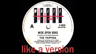 WIDE OPEN ROAD - THE TRIFFIDS