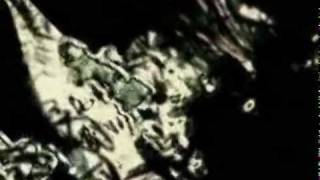 Regne de feu - Misanthrope