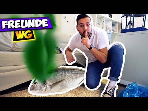 SAM HAT EINEN STINKEFISCH VERSTECKT! Fieser Prank an Liz & Merle! Freunde WG #68