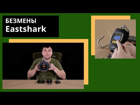 весы весы