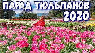 Морская рыбалка в крыму декабрь 2020