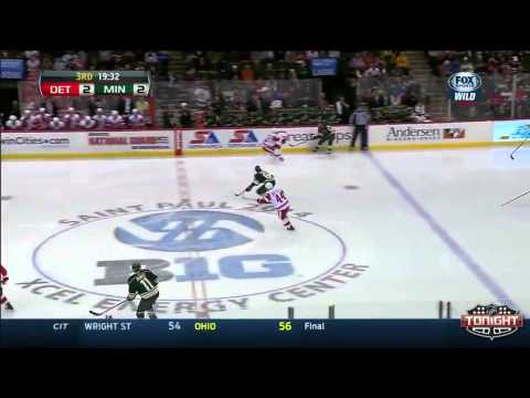Detroit Red Wings at Minnesota Wild   03\22\2014