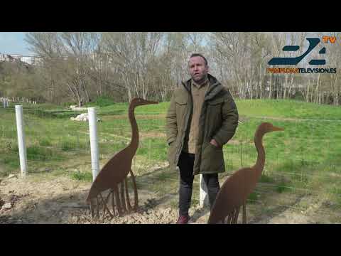 [VIDEO] Finaliza la obra del meandro de Ilundáin para prevenir inundaciones en el río Arga