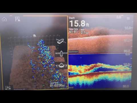 Raymarine Axiom Baitfish in RealVision 3D, DownVision and Fishfinder mode.