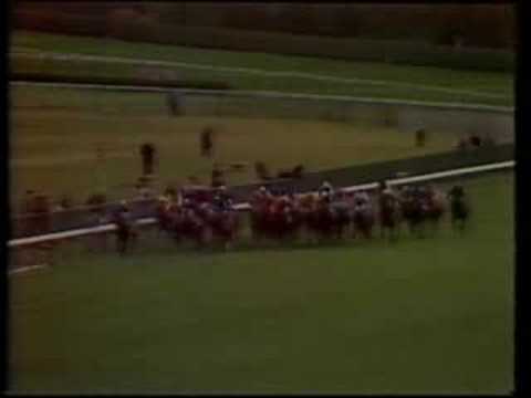 Alleged - 1977 Prix de l'Arc de Triomphe