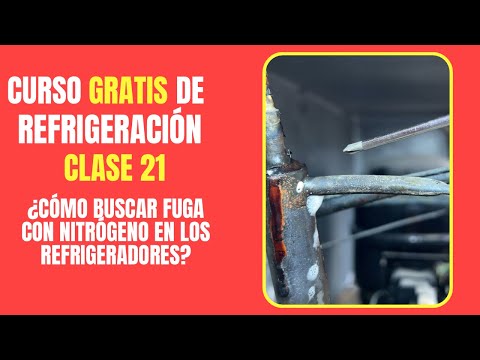 Ver en YouTube