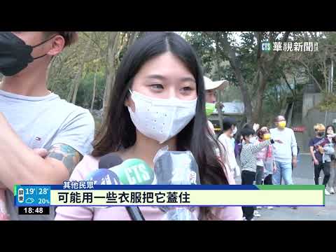 壽山獼猴搶匪團！　翻倒推車開媽媽包搶食物