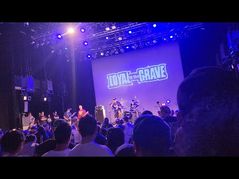 Loyal To The Grave at Kawasaki club CITTA'