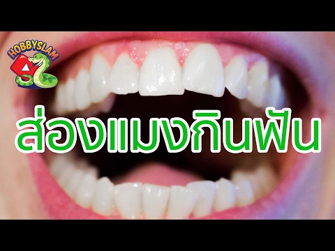 ยาพื้นบ้านที่น่าตื่นเต้นสำหรับผู้หญิง สาวตื่นเต้น