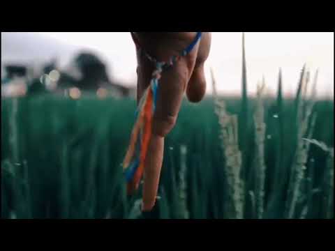 I NEVER LOSE. I EITHER WIN OR LEARN.