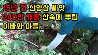 10억짜리 산삼이라고요?!?!