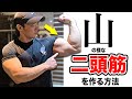 【二頭】を山の様に高くデカくする方法を解説します。