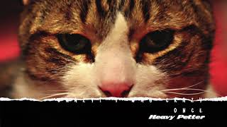 Cover art for I Was Crazy Once