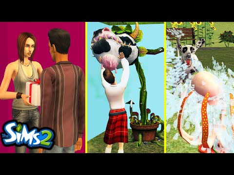 More BRILLIANT And Weird The Sims 2 Details You Might've Missed