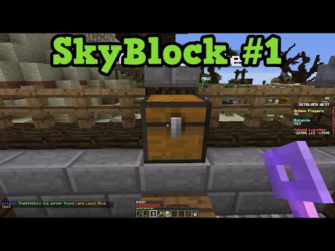 ibxtoycat - Minecraft Multiplayer Sky Block #1 - Mesa Island