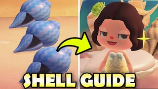 🐚 LIMITED-TIME SUMMER SHELLS & How to Get Them in Animal Crossing New Horizons | Shell Guide