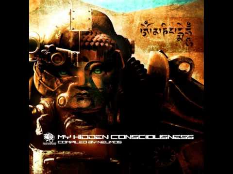 The Lysergic Orchestra - Unfinished Business