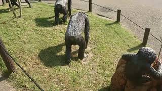 【行ってみた企画】愛知県・東山動植物園に行ってみたよ！閉園時間ぎりぎりだったんで駆け足です【久々の】
