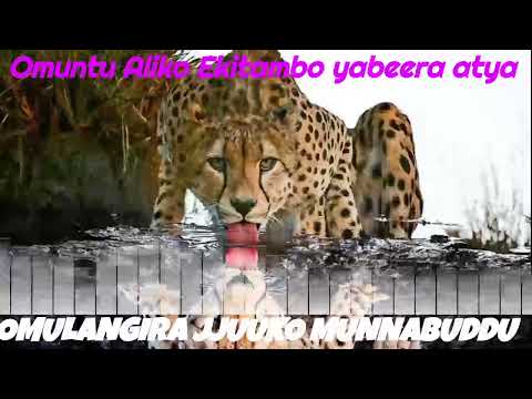 Omuntu Aliko Ekitambo yabeera atya? - Omulangira Jjuuko Munnabuddu