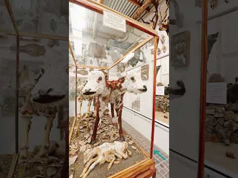 En mi visita a córdoba vine a conocer el #museo #rocsen #nono #cordoba #minaclavero #2025 #argentina