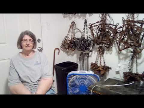 40 question challenge and fur shed tour