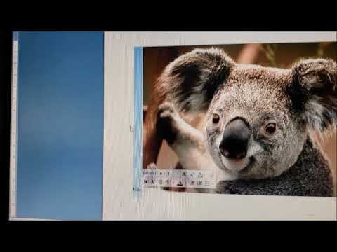 MI VIDEO TUTORIAL PALOMA ALVIRDE