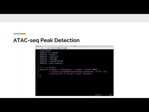 ATAC-seq analysis
