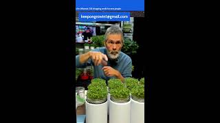 Grow Food Fast