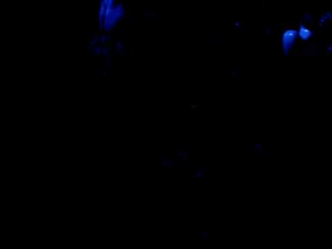 CONCRETE -last show@traffic, roma - 271108 - E POI PIOVE