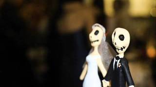 Fernando Delgadillo  las bodas de Erefil.