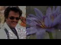 En Peri Padaiyappa Motivation Status Padaiyappa Movie Rajini Song