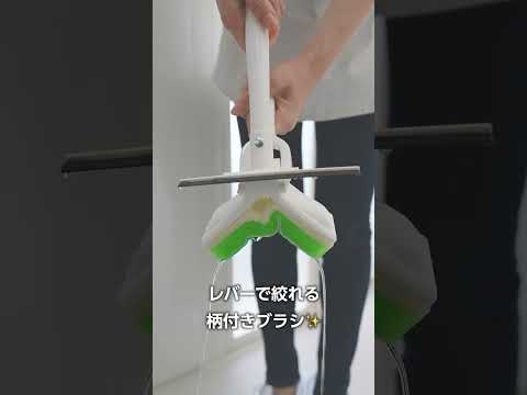  SOS: 苗にカビが発生しました!彼らを救えるでしょうか？やり方は？  庭園