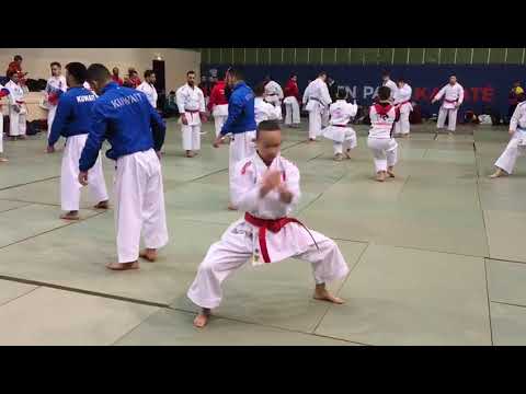 Viviana Bottaro Warming Up at Paris Premier League Wkf Karate 1
