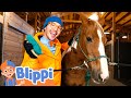 Blippi Learns About Horses Best Animal Videos For Kids Kids Songs And Nursery Rhymes