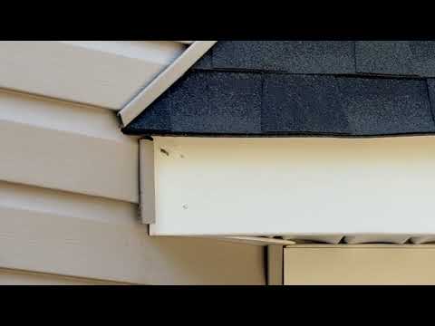 Yellow Jackets Nesting Right Above the Window in Point Pleasant Beach, NJ