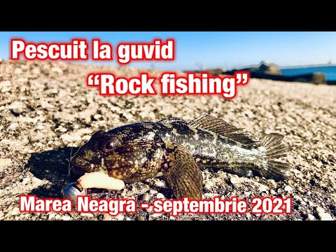 Pescuit la guvid. “Rock fishing” la Marea Neagra