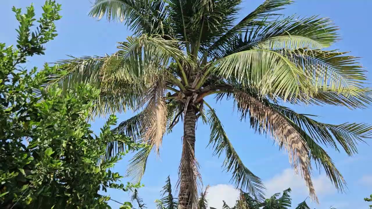 Área Externa e Lazer