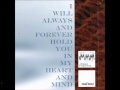 Aidan Baker- I will always and forever hold you in my heart and mind (Full Album)