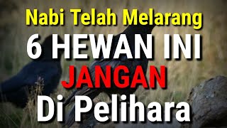 Download lagu PLEASE NOTE!! 6 Animals That Are Forbidden to Be Kept as Pets in Islam mp3 Download lagu PLEASE NOTE!! 6 Animals That Are Forbidden to Be Kept as Pets in Islam mp3