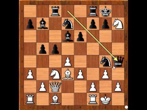 Veličanstveni napad sa genijalnim potezima - ARONIAN vs ANAND - Tata Steel 2013 # 310