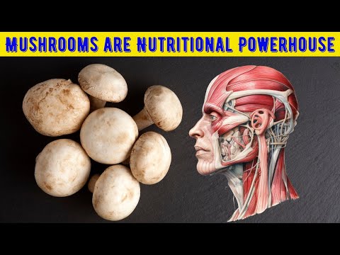 Boost Your Immune with Mushrooms,10 Remarkable Health Benefits of Mushroom
