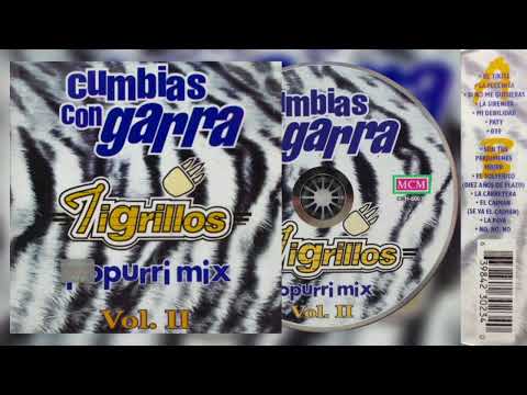 💖Tigrillos - Cumbias Con Garra/ Popurri Mix Vol. 2 (1998)💖