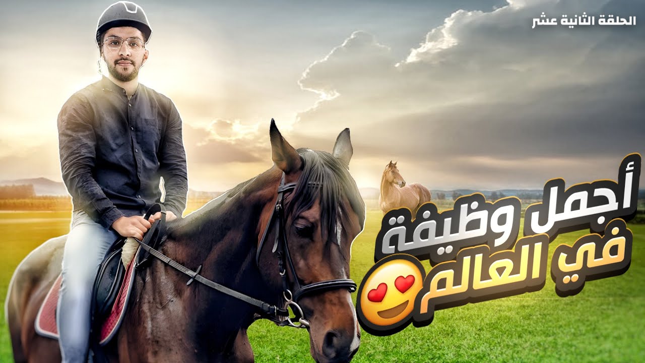 اجمل وظيفة بالعالم 😍 #12