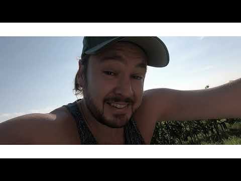 Bliggedi Blowm & Patience Rap - Peacezeichen (prod LarsVaderBeatz) OFFICIAL VIDEOCLIP