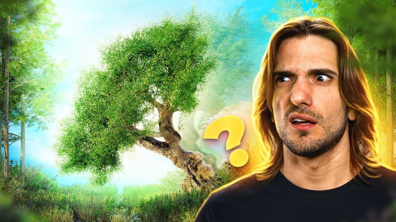 Se uma ÁRVORE cai em uma floresta, ela faz BARULHO?