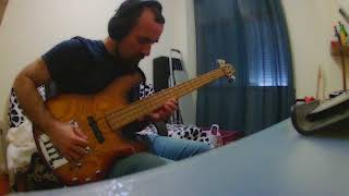 Color me once - Violent Femmes bass cover