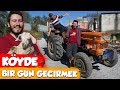 KÖYDE BİR GÜN GEÇİRMEK