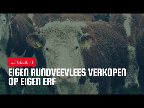 Uitgelicht | Eigen rundveevlees verkopen op eigen erf