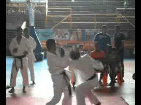 Campeonato Paraense 2011